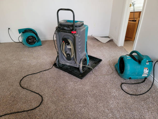 Best Water damage cleanup near me  in La Verkin, UT