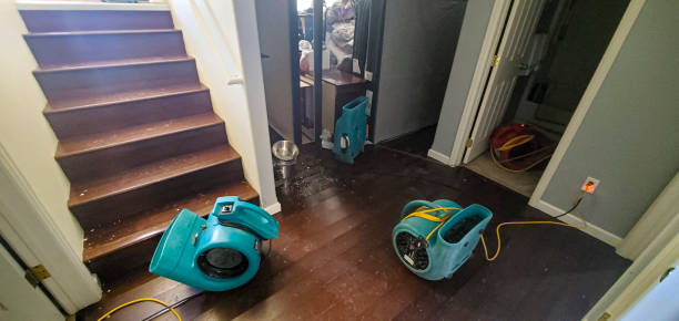Best Mold removal after water damage  in La Verkin, UT