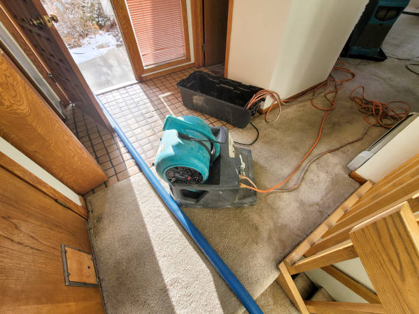 Best Basement water damage restoration  in La Verkin, UT