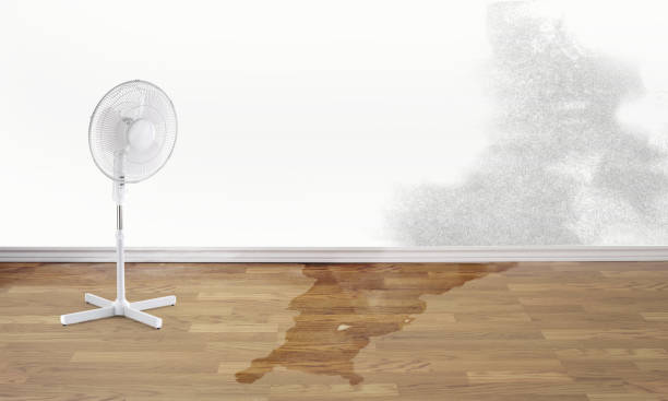 Best Professional water damage repair  in La Verkin, UT