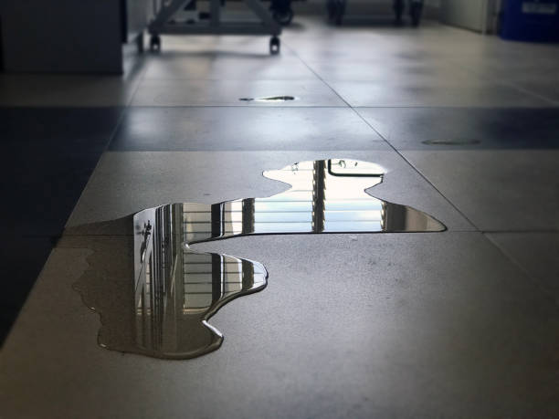 Best Basement water damage restoration  in La Verkin, UT