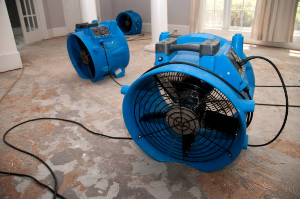 Sewage cleanup and water damage restoration in UT