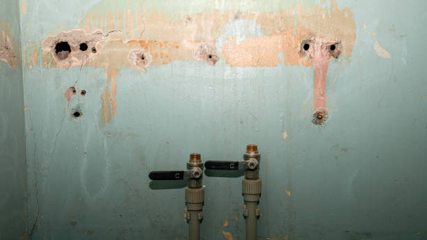 Best Water damage restoration insurance claims  in La Verkin, UT