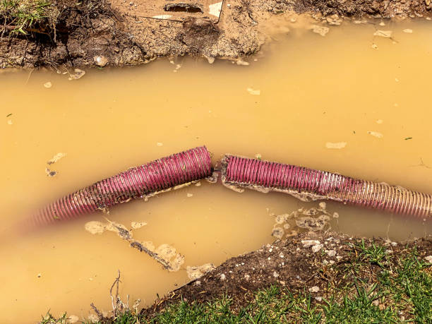  La Verkin, UT Water damage restoration Pros