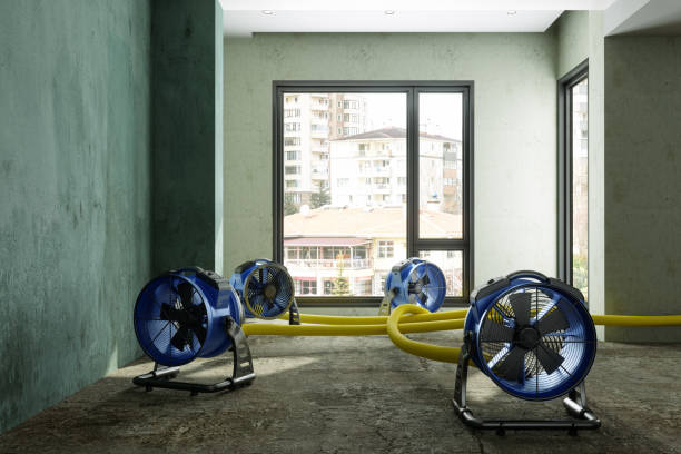 Best Sewage cleanup and water damage restoration  in La Verkin, UT