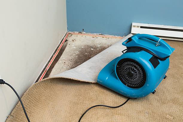 Best Ceiling water damage repair  in La Verkin, UT
